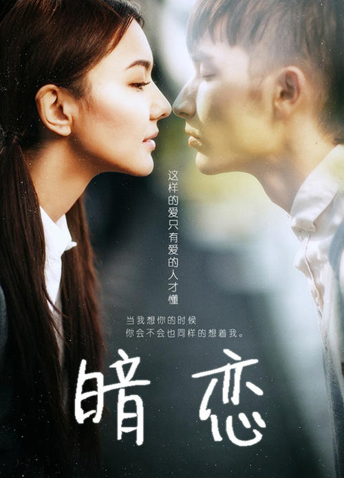 学士学位证书编号和学历编号是一个吗